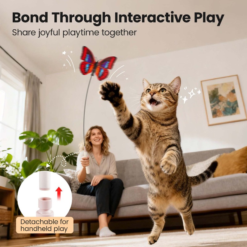 Interactive Automatic Cat Toy  - Pet Supplies Young 评论和价格