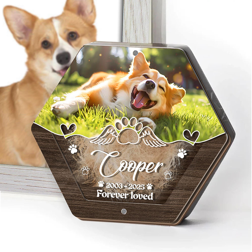Personalized Name Wooden Carvi - Pet Supplies Store 评论和价格