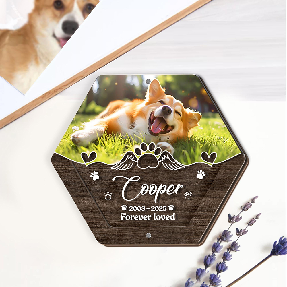 Personalized Name Wooden Carvi - Pet Supplies Store 评论和价格