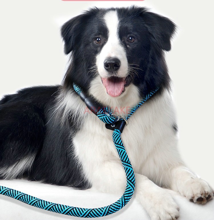 P rope explosion-proof walking - Pet Supplies Young 评论和价格