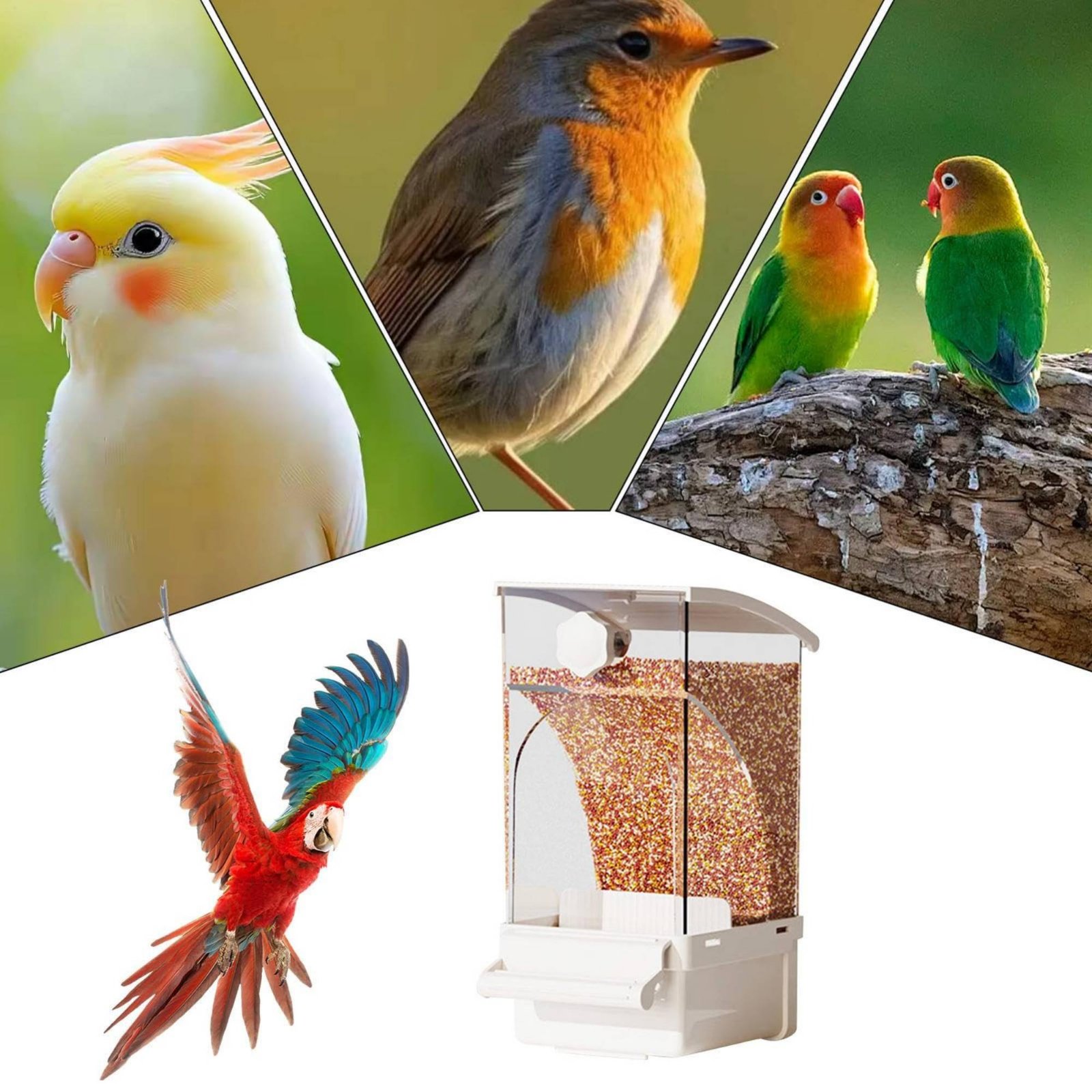 Automatic Avian Feeder Husk Se - Pet Supplies In 评论和价格