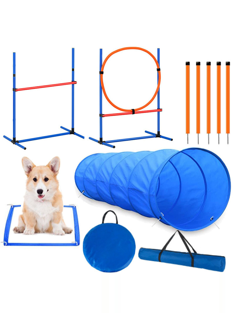 Dog Obstacle Training Competit - Pet Supplies In 评论和价格