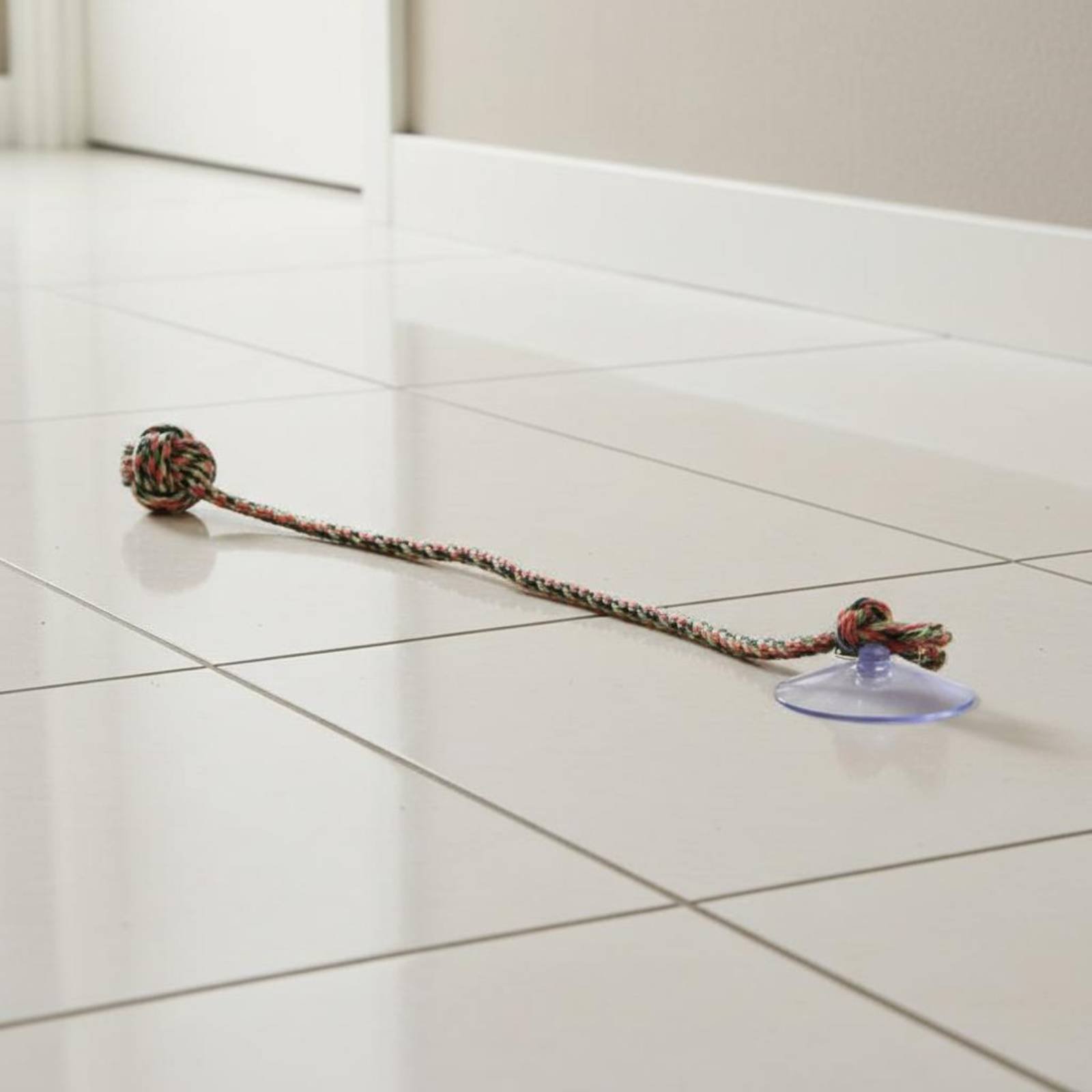 Suction Disc Dog Toy Interacti - Pet Supplies Young 评论和价格