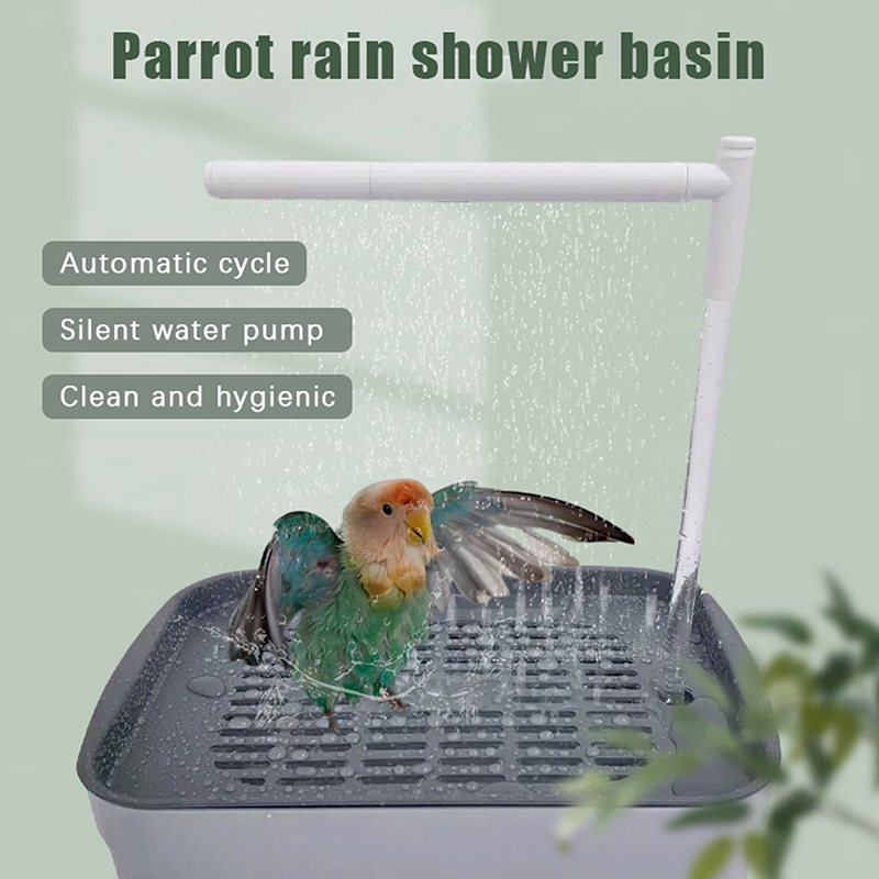 New Sale 2026 Automatic Parrot - Pet Supplies In 评论和价格